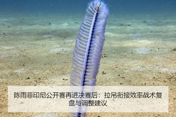 陈雨菲印尼公开赛再进决赛后：拉吊衔接效率战术复盘与调整建议