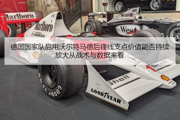 de-guo-guo-jia-dui-qi-yong-wo-er-te-ma-de-hou-feng-xian-zhi-dian-jia-zhi-neng-fou-chi-xu-fang-da-cong-zhan-shu-yu-shu-2-215.jpg